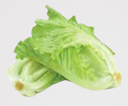Lettuce