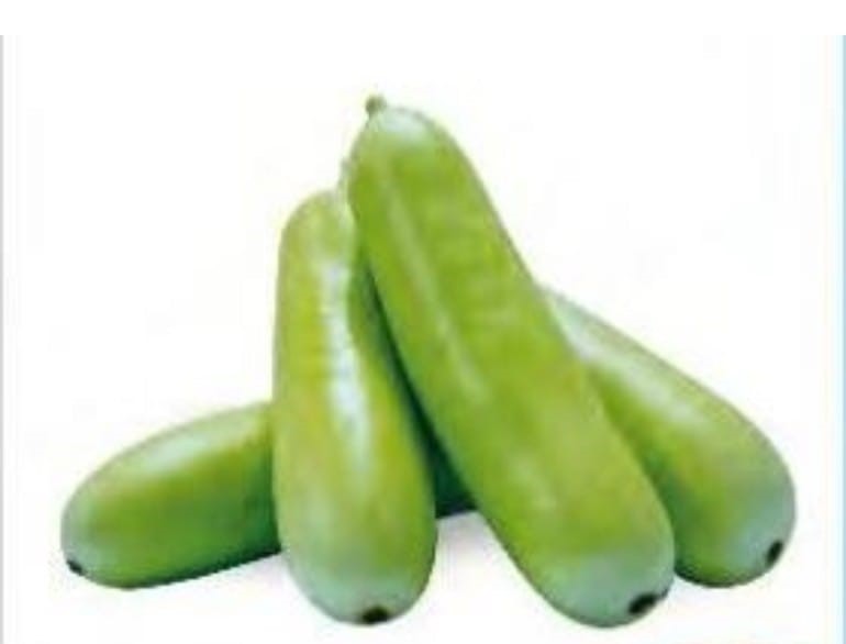Bottle Gourd  local produce UAE